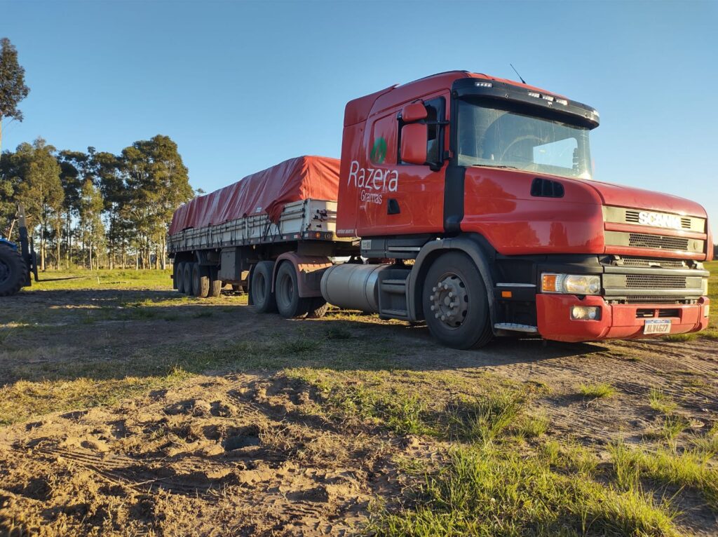 transporte de gramas em canela